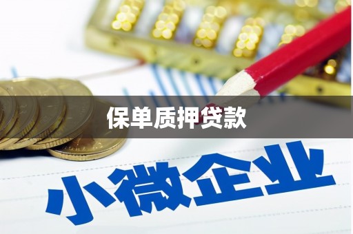 乡宁保单质押贷款