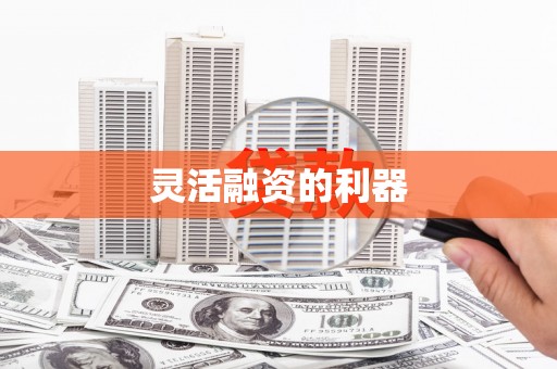 普格灵活融资的利器