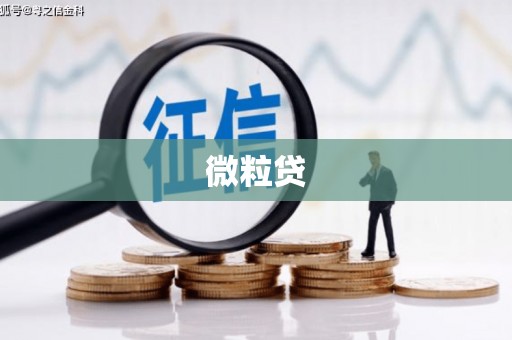 安定微粒贷