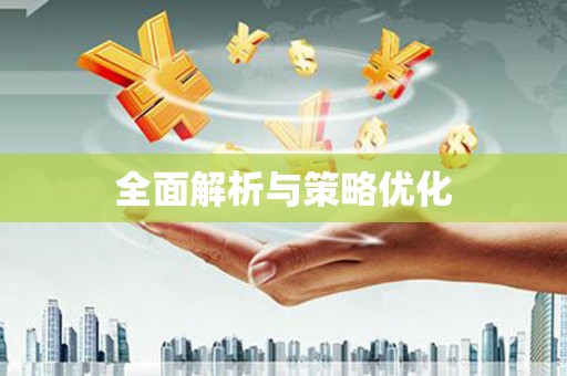 巴楚全面解析与策略优化