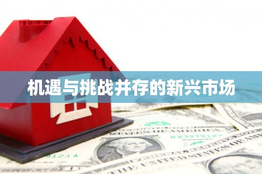 东宝机遇与挑战并存的新兴市场