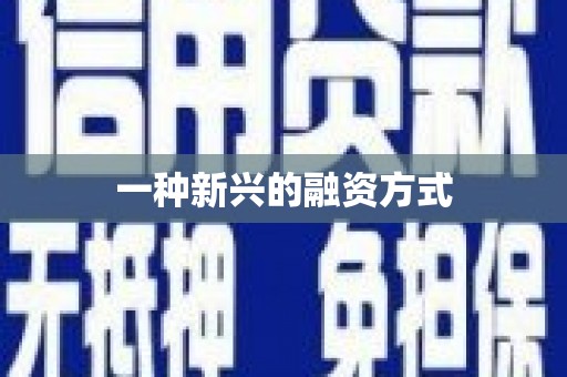 新会一种新兴的融资方式