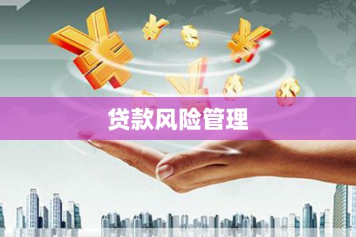 安仁贷款风险管理