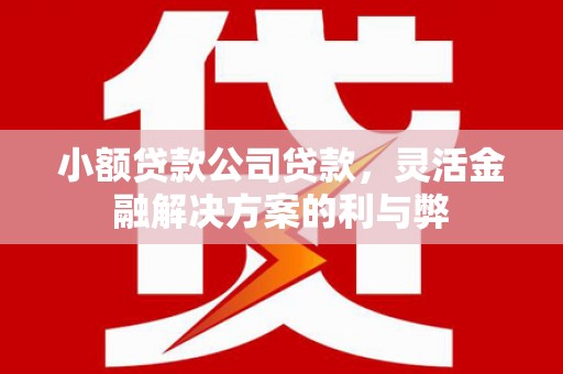 迪庆小额贷款公司贷款，灵活金融解决方案的利与弊